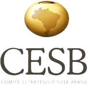 2025.3 – Módulo 11: – Turma 09 – CESB